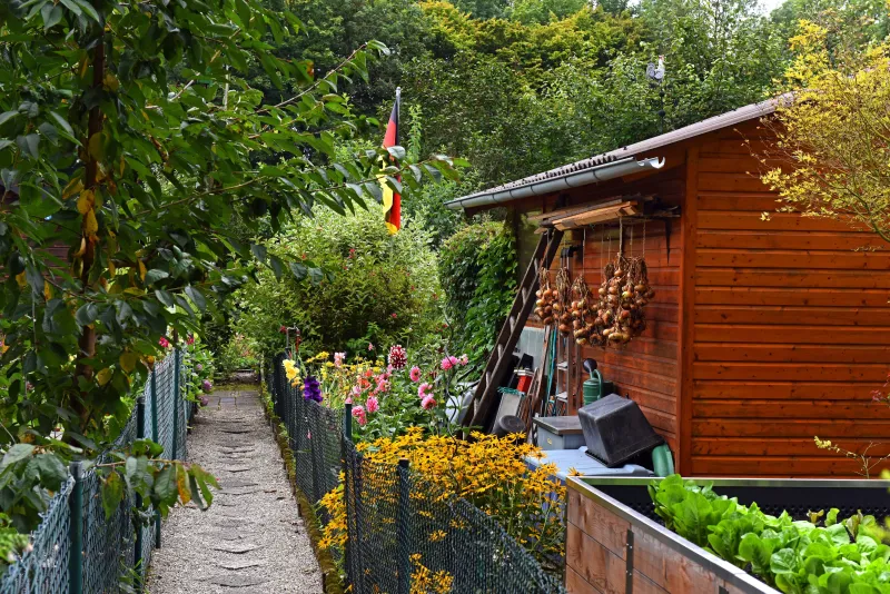 Laube mit Weitblick: Warum der Kleingarten der geheime Sternenwinkel der Republik ist